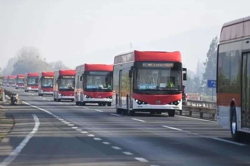 中國客車英文網市占率達65%!智利新增150臺比亞迪純電動大巴中國客車英文網(圖1) 中國客車英文網市占率達65%!智利新增150臺比亞迪純電動大巴中國客車英文網(圖1)