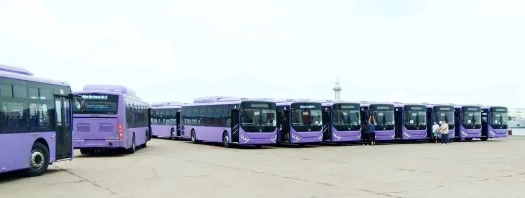 又80輛！中通客車再赴墨西哥(圖1)